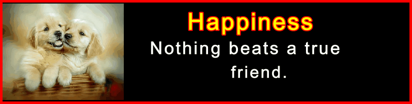 Birthday Image Birthday Image